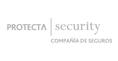 Logo Protecta Security
